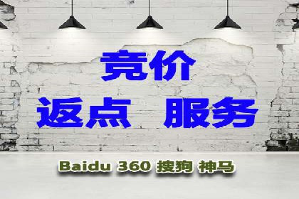 充值高返点案例：月入过万的秘密