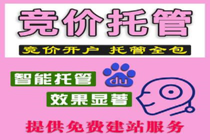 行业领先企业选择SEM代运营托管公司的原因揭秘